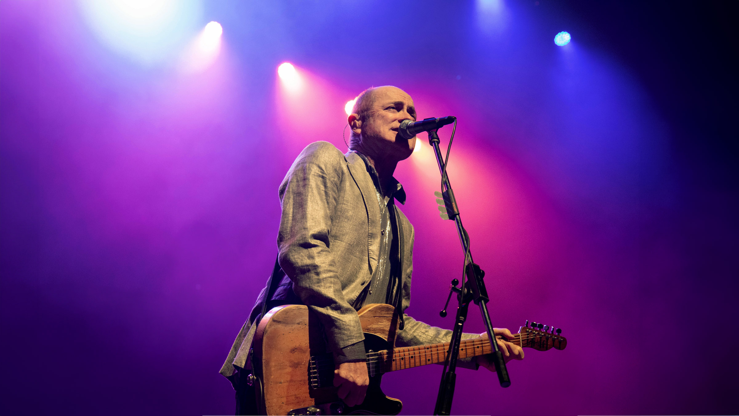 Hoodoo Gurus live