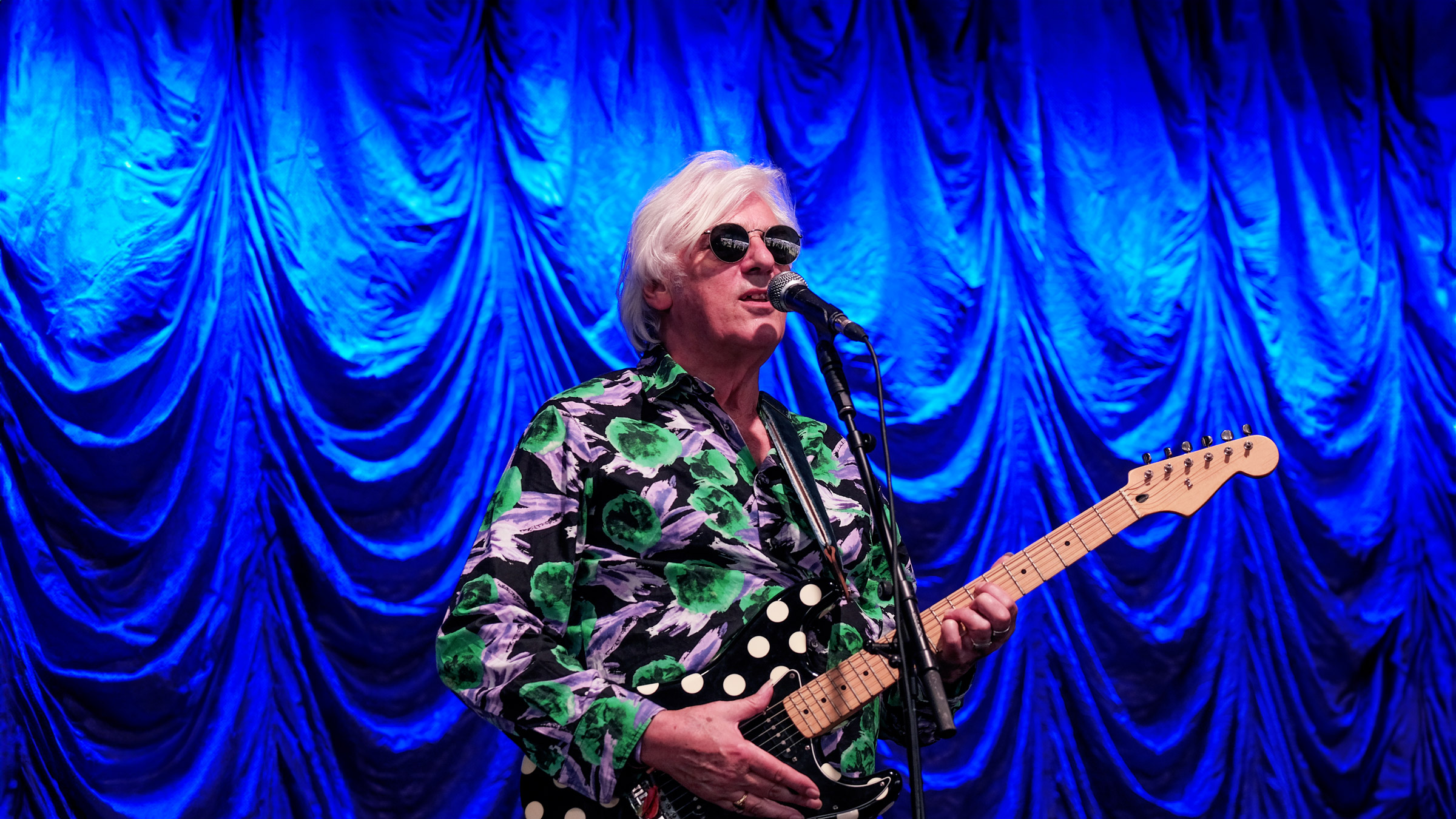 Robyn Hitchcock live