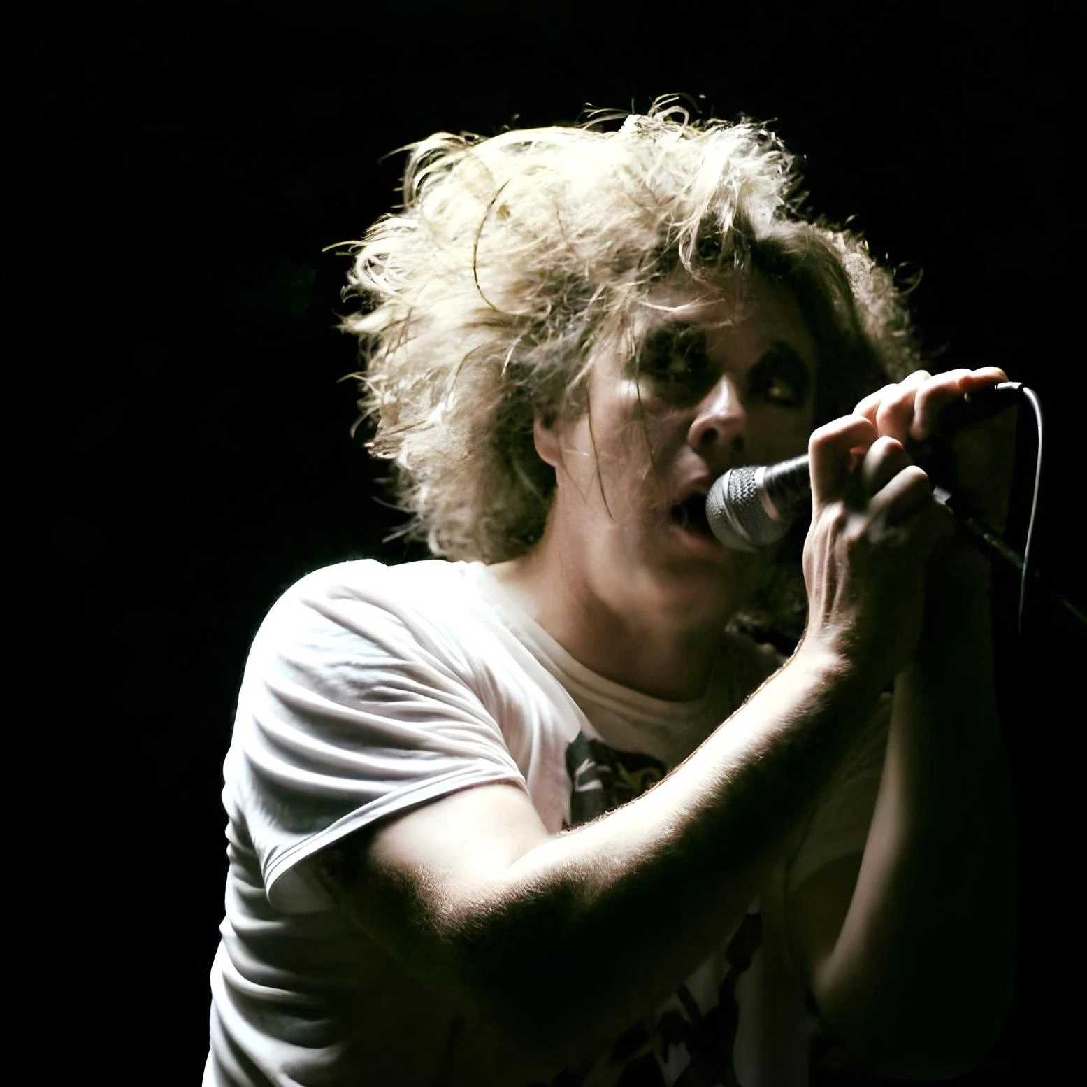 The Cureheads + Siouxsie and the Budgiees