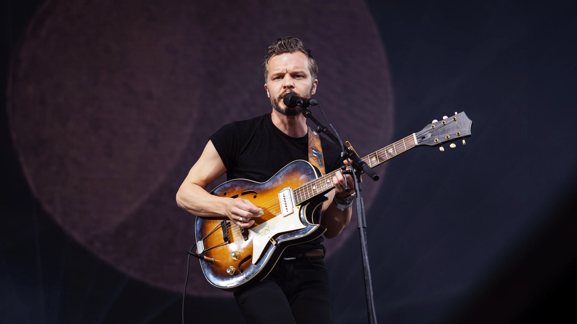 The Tallest Man on Earth
