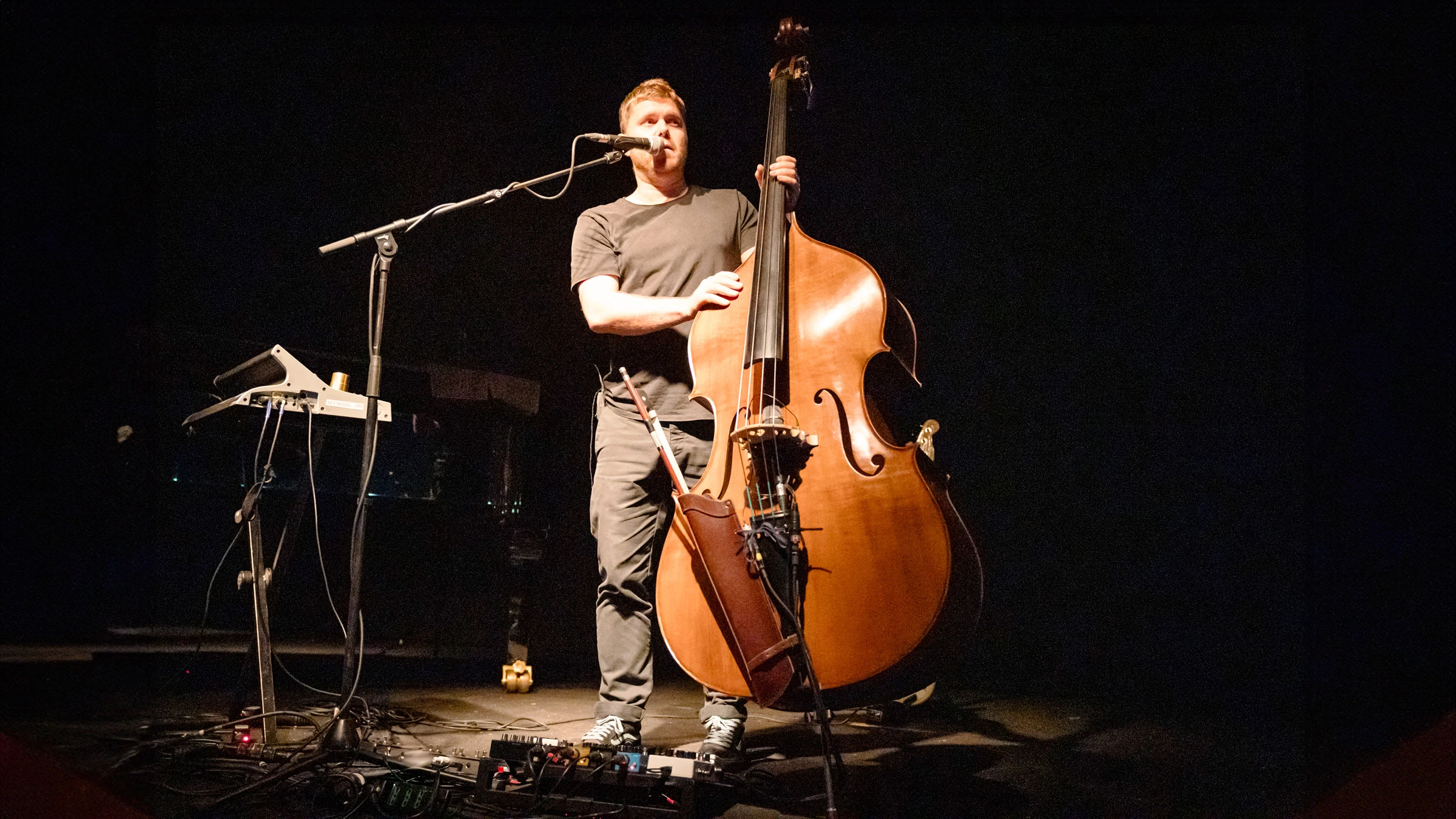 GoGo Penguin