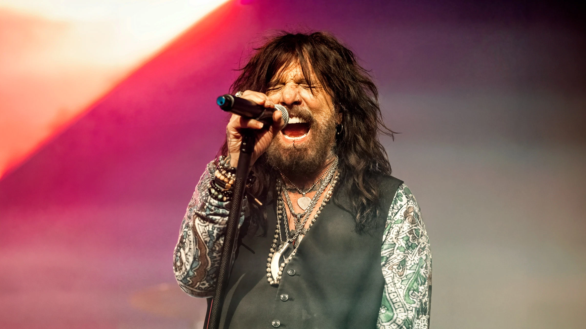 The Dead Daisies