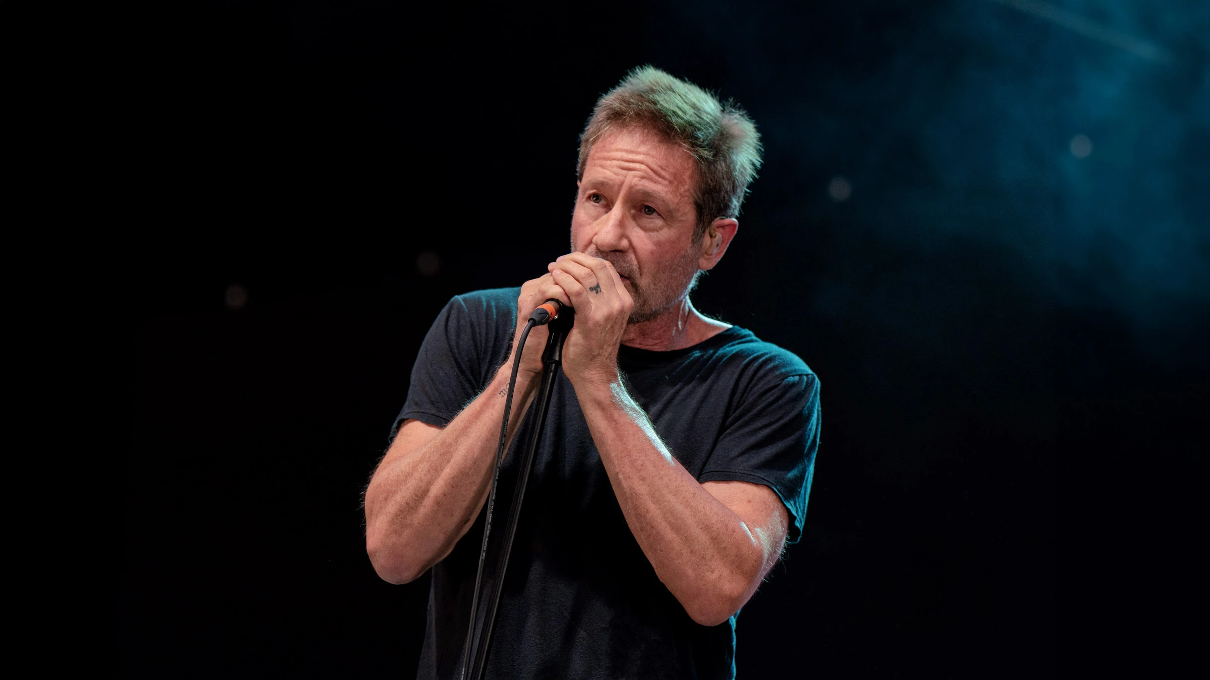 David Duchovny